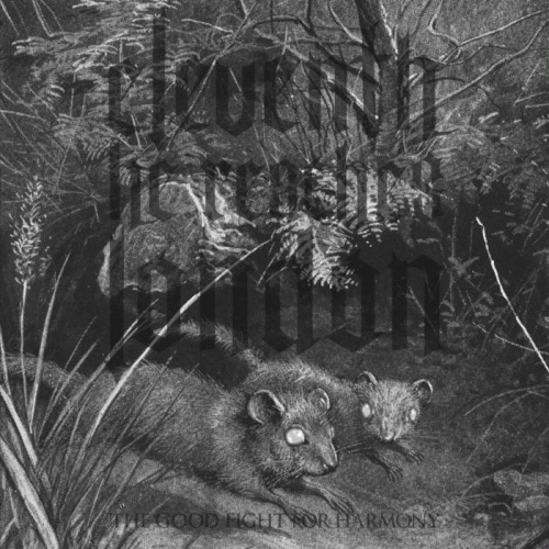 The Good Fight for Harmony